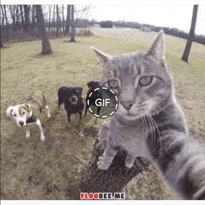 Meet your Posher, Joycelyn